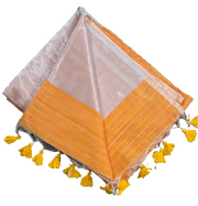 SAR52 - Stripes Saree