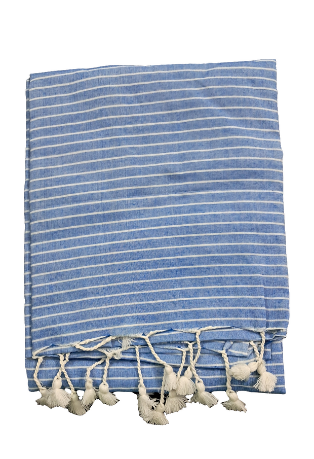 SAR47 - Stripes Saree