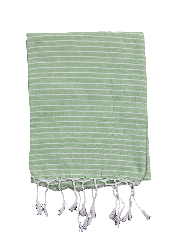 SAR47 - Stripes Saree