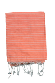 SAR47 - Stripes Saree