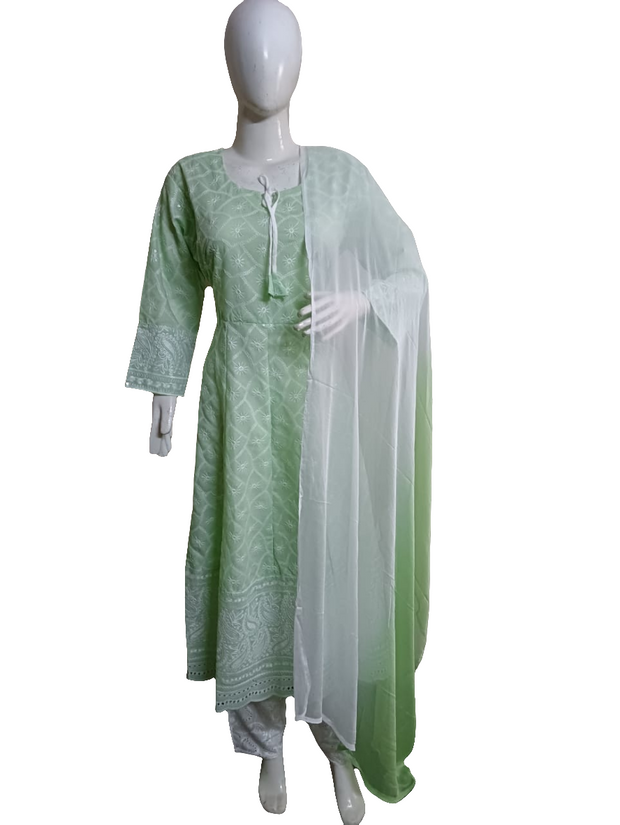 DCSETM2 - Chikangari Anarkali