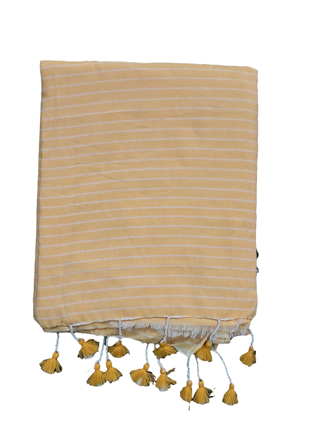 SAR47 - Stripes Saree