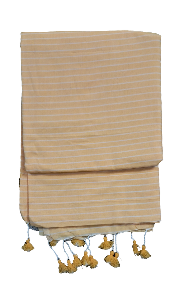 SAR47 - Stripes Saree