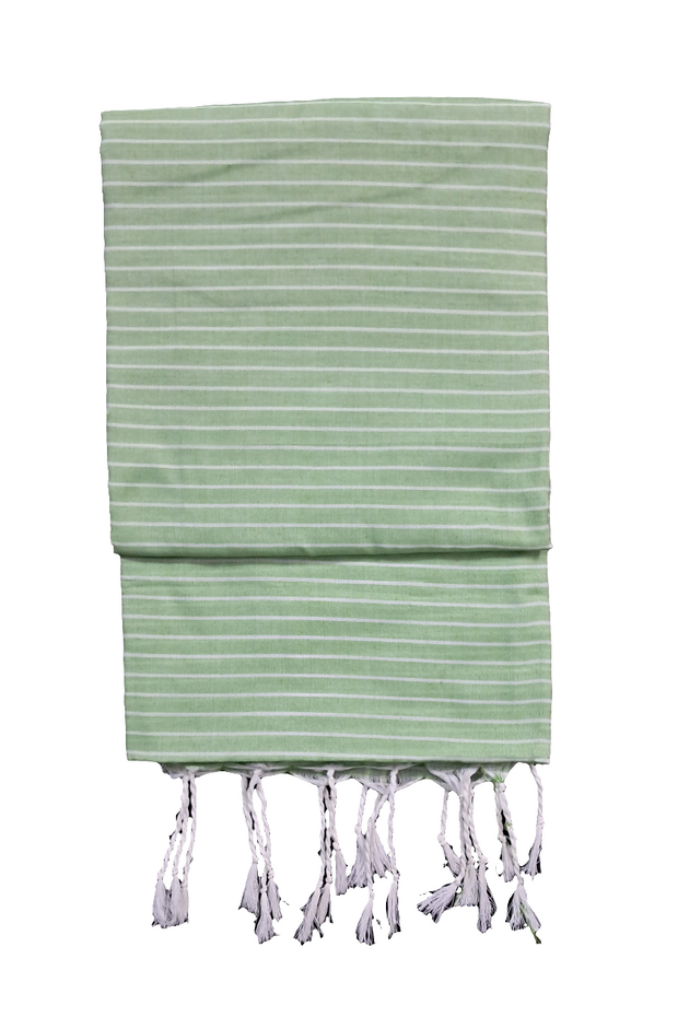 SAR47 - Stripes Saree