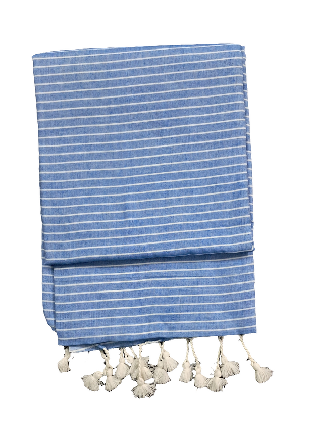 SAR47 - Stripes Saree