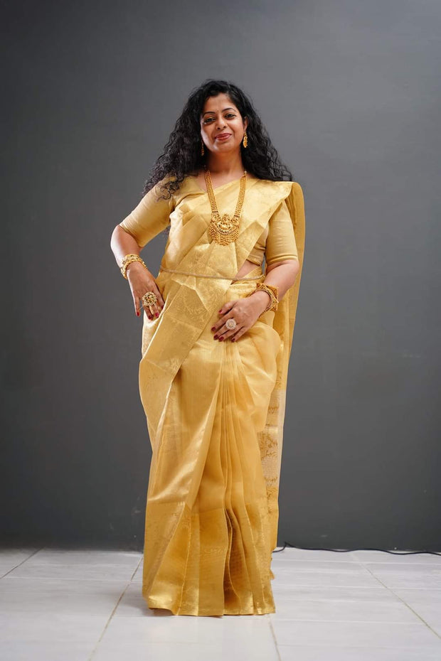 TSAR1 - Traditional saree