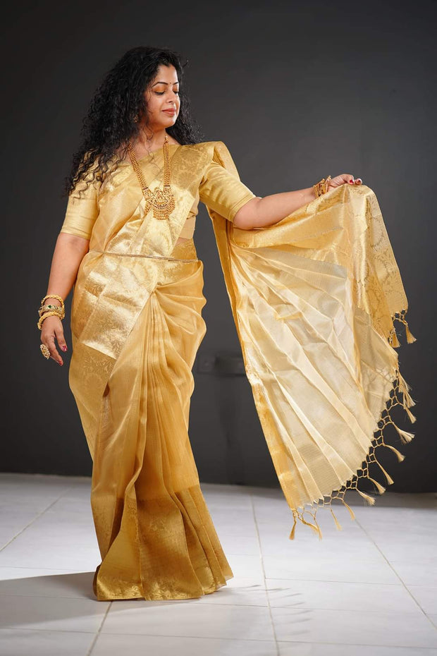 TSAR1 - Traditional saree